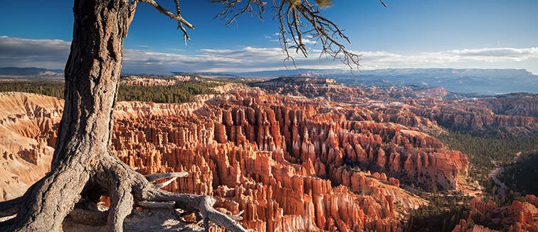 What to see in United States Bryce Canyon National Park 