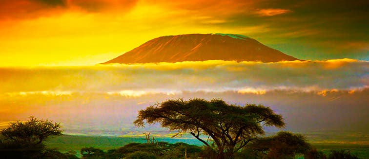 What to see in Tanzania Kilimanjaro