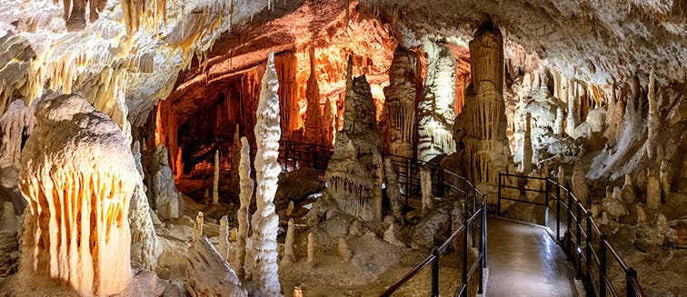 What to see in Slovenia Postojna Cave