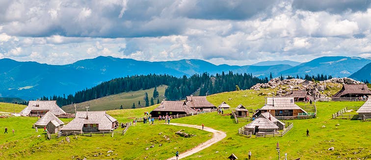What to see in Slovenia Velika Planina